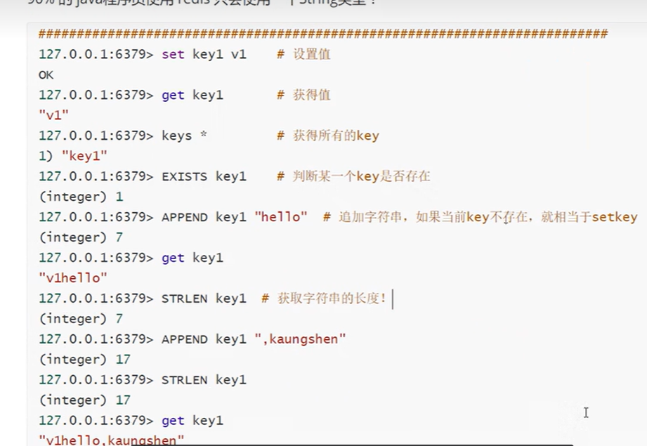 image-20260328135132711